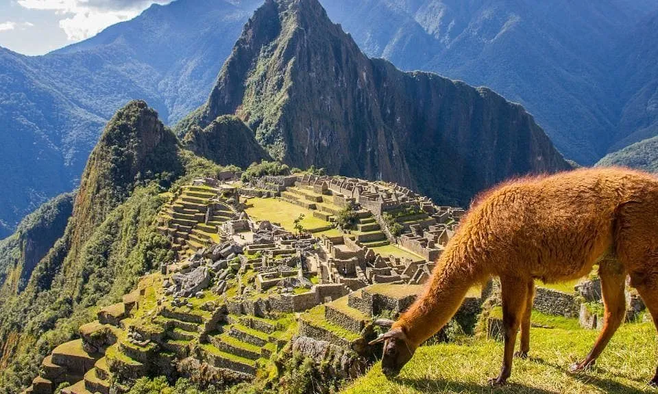 AGUIRRE Alma's journey in Peru