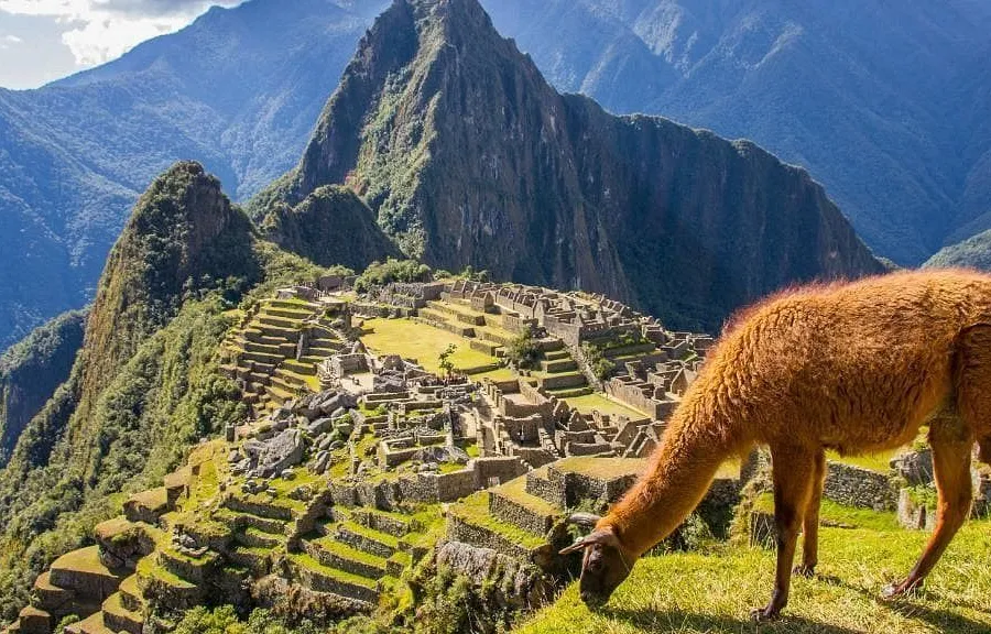 AGUIRRE Alma's journey in Peru