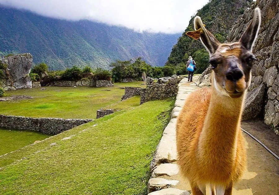 Jose Diaz Cerro's journey in Peru