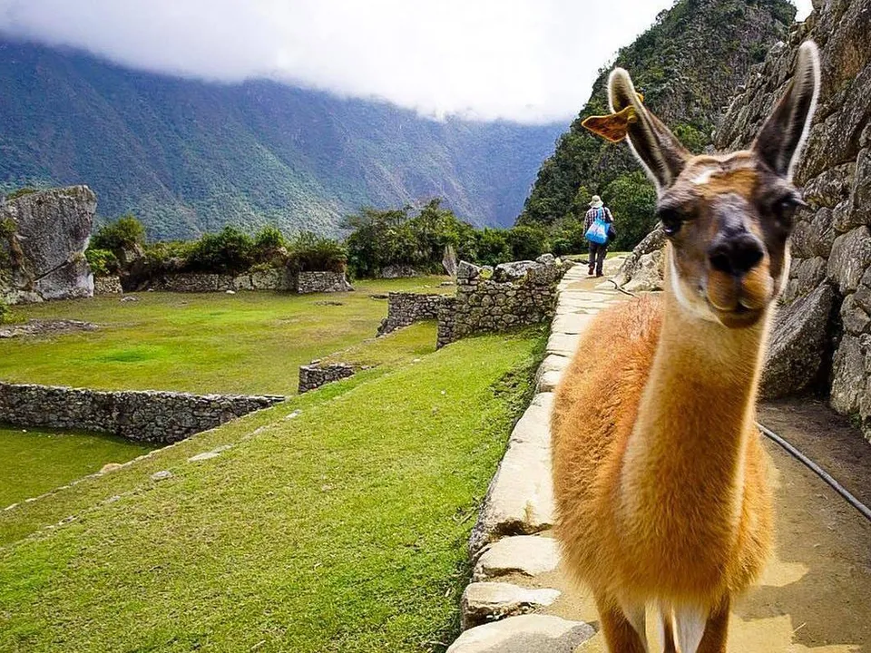 Jose Diaz Cerro's journey in Peru